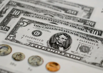 2024년 1월 워드프레스 수익 인증