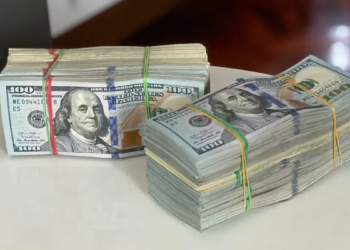 워드프레스 수익